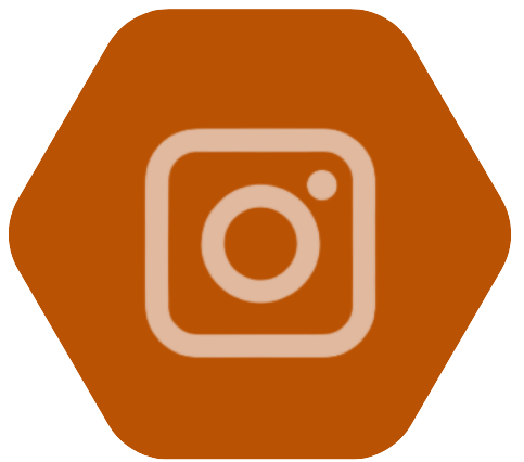 Ícone Instagram