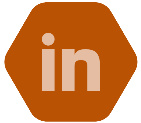 Ícone Linkedin